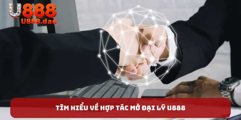 Hợp tác đại lý là công việc tuyệt vời mà đơn vị mang đến cho những ai có niềm đam mê kinh doanh